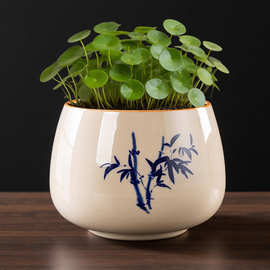 高盆无孔水仙花盆陶瓷睡莲碗莲水培花器养鱼鱼缸花器办公桌面花盆