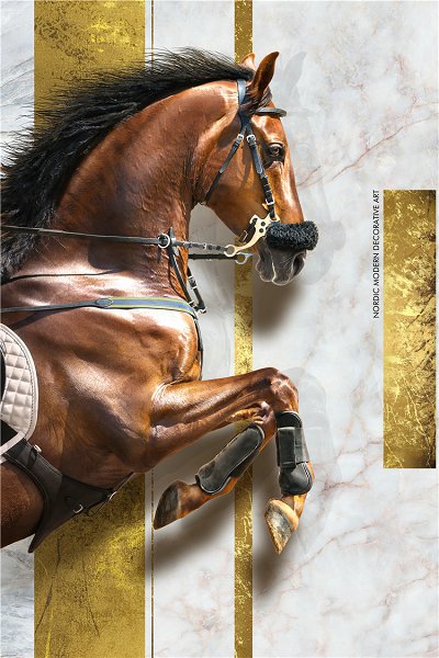 50322 Caballo de lujo ligero14