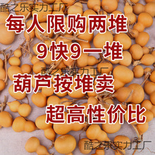 ������J�[������ְѼ��ֶ�覴��Ӯ���̶���ͥ�ˌ��N������