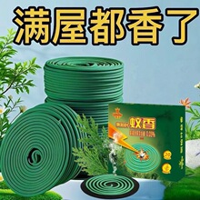 厂家批发蛙王植物侧柏叶蚊香20单盘一件代发