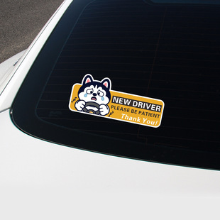 NEW DRIVER�����{���܇�N��������·������־܇�NŮ˾�C��ʾ܇�N