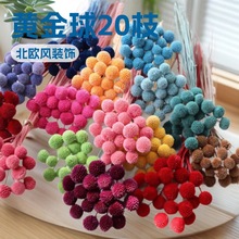 DIY干花真花花束黄金球20永生花摆件北欧装饰摄影材料云南厂家