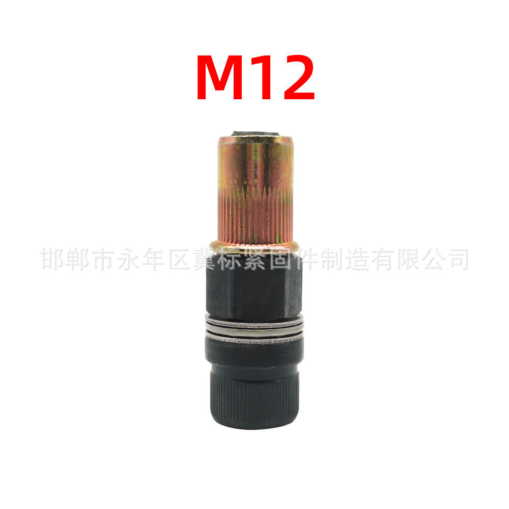 M12 female head (new style)
