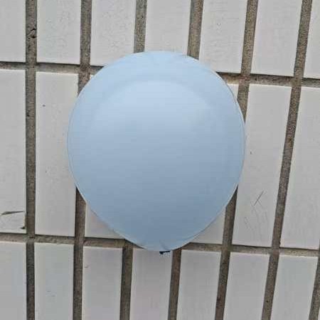 2024-11-15 12:53:13.jpg