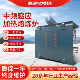 厂家定制中频感应加热熔炼炉大功率熔铁炼钢电炉igbt电源成套设备