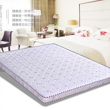 纯椰棕床垫硬棕垫家用环保棕榈偏硬环保儿童床垫子