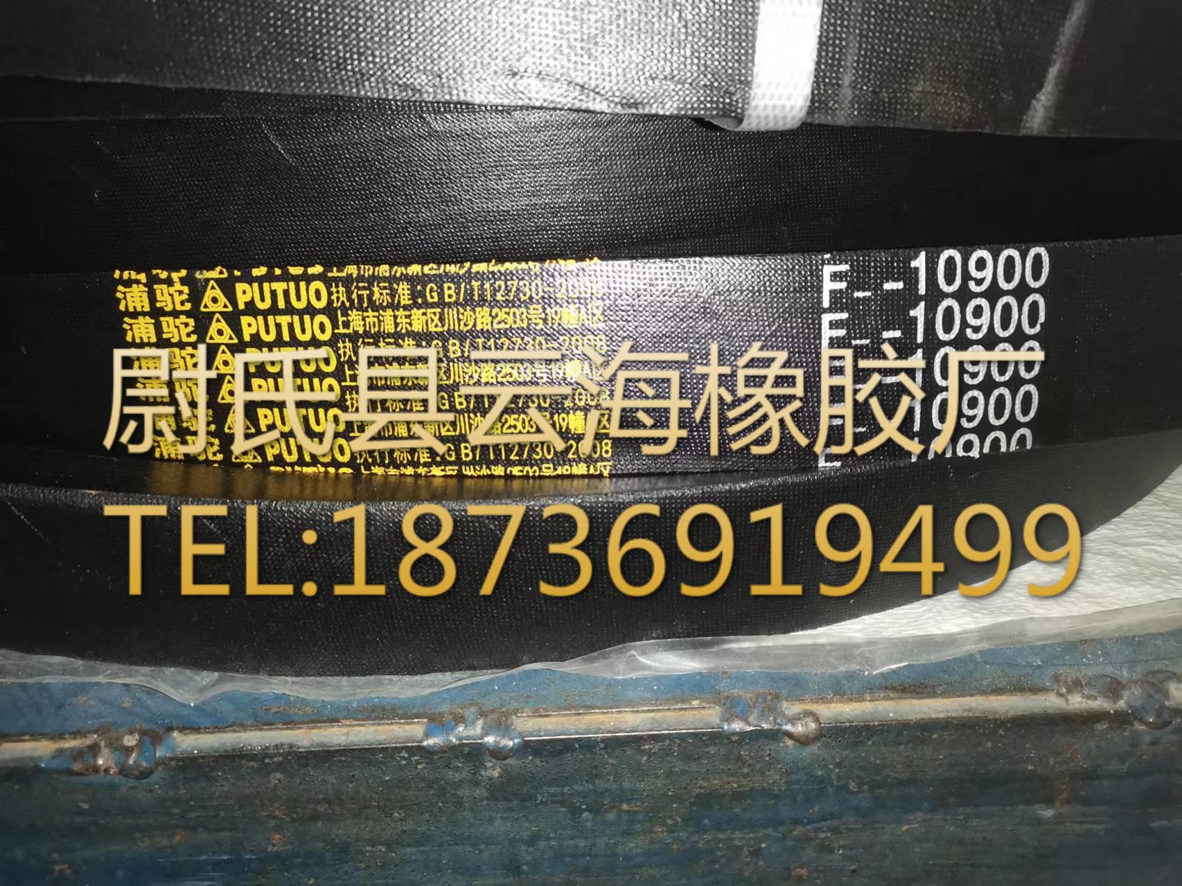 F10900mm普通V带 F型三角带 破碎机用三角带 矿山设备用F型三角带