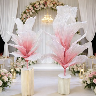 �������w�����ֹ���z��ˇ�[����Y�ް�ˇ�g���͙����[�����յ���