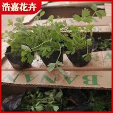 �����޸����� ί��� ���~���~ί��� �o�¾G�� �����OӋ������