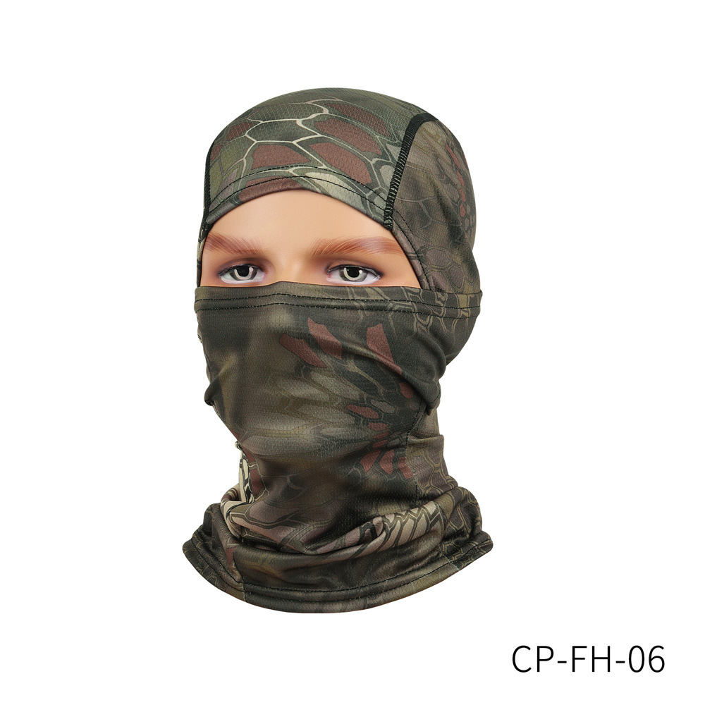 CP-FH-06 황무지 파이썬
