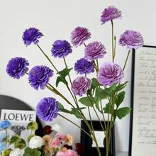 6^滨cû ܽػٻ쾰Y·廨