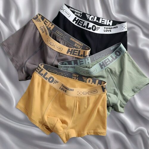 Fashion Underwear 2024 New Men's Antibacterial Letter Comfort Straight Leg Pant Youth Cotton Simple Four-Point Underwear