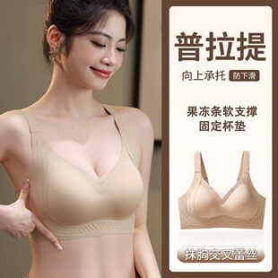 ���ھX�����S�P2025�¿�����������l���¾۔n�o�Ȧ�{��������