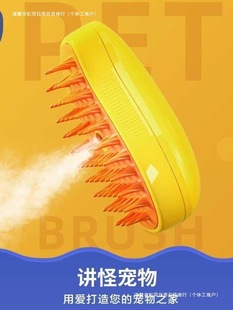 Cat and Dog Pet Supplies Spray Massage Comb One-Click Spray Anti-Flying Hair Cat Comb Skin Removal Floating Hair Bath