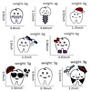 Creative new tooth brooches cute little teeth brush brush, mask wearing Christmas hat badges personalized accessories