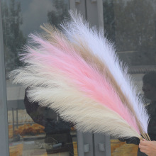 �JȔ���b���ؔ[���ɻ���������c��ë�����羳�����廨��������