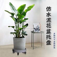 ll�A�Ύ�݆�����бP�L݆����������f��݆���Ƅ���ˮ��ˮ�P͸����