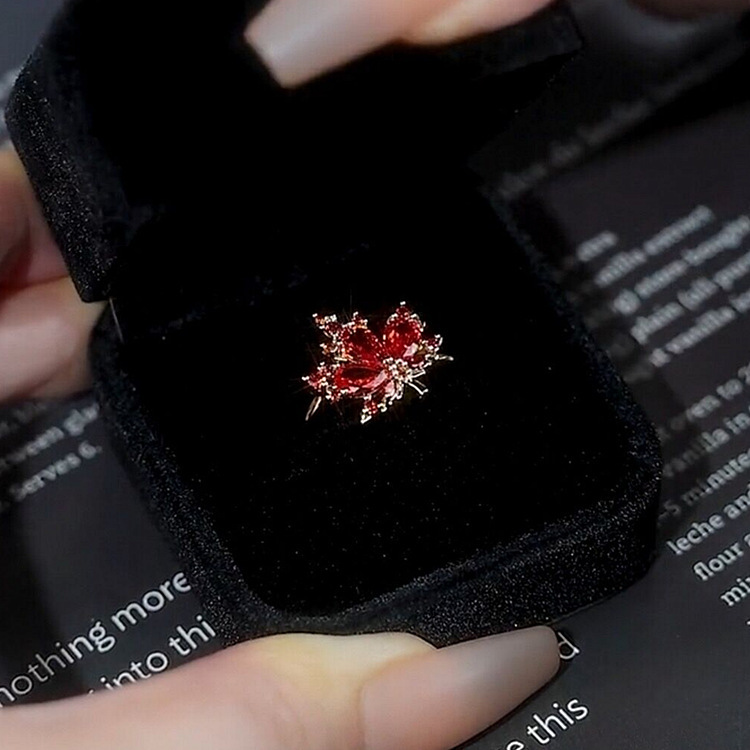 QQ圖片20221114153152