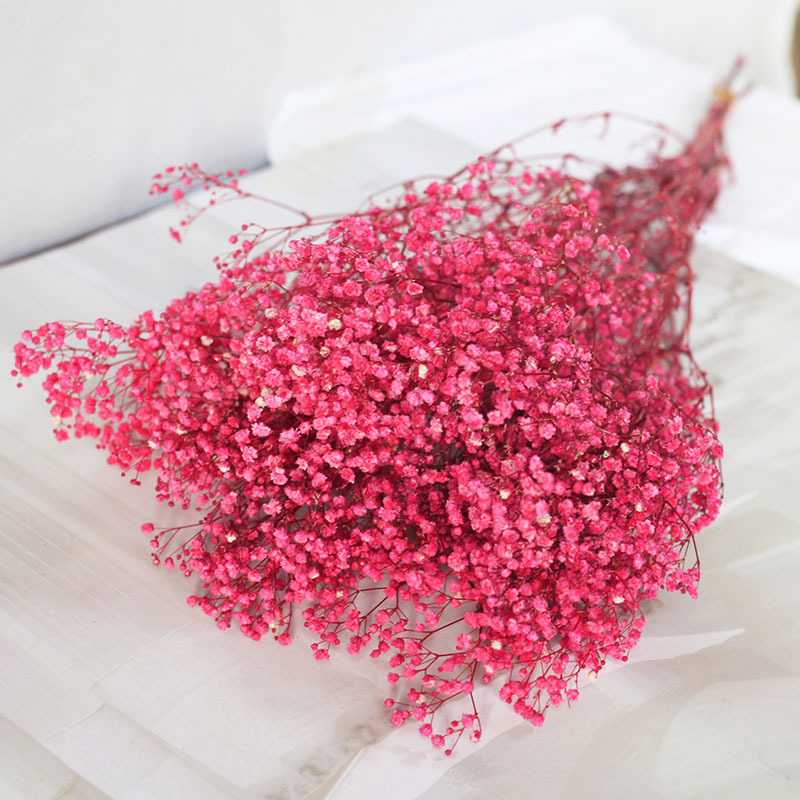 Flor seca Flor eterna Gypsophila Bola de oro No me olvides Flor seca Rosa hoja de eucalipto Pine Fruit Lover Grass al por mayor