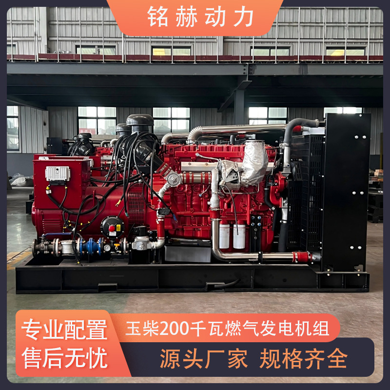 玉柴200千瓦燃气发电机组常用电源养鸡养猪场沼气天然气发电设备|undefined