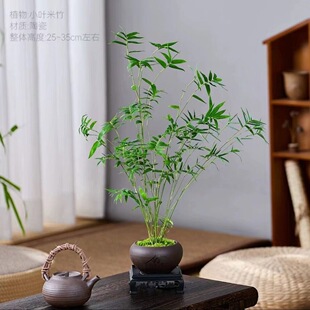 ��������̦�\�Pβ���҃�΢���^�p���辰�͏d����ֲ���ļ�����Gֲ