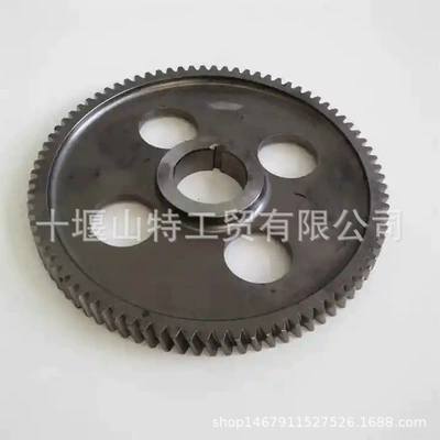 4953348 205028 207248 – Flywheel/Gear