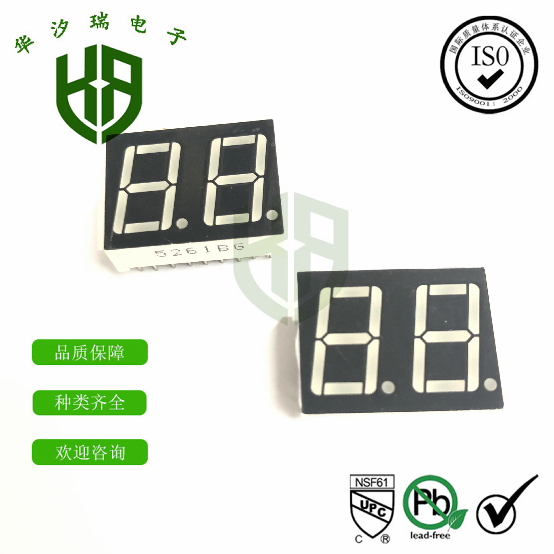 0.56英寸两位数码管 5261BG 绿色共阳数码管 LED显示屏模块