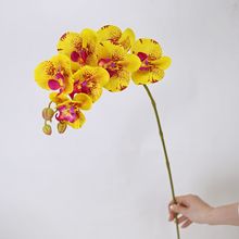 仿真蝴蝶兰高档兰花胡蝶兰客厅花卉ins假花家居装饰摆放餐桌玄关