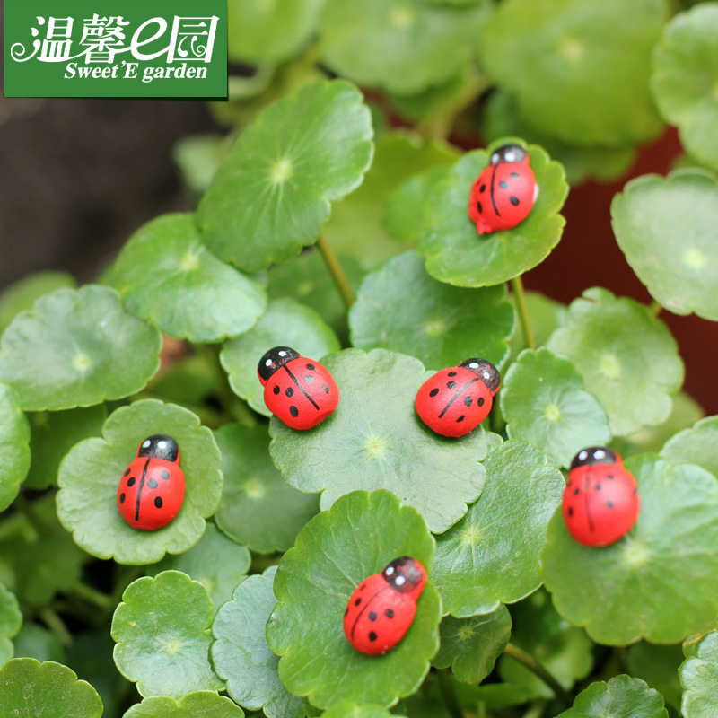 [微景观 摆件配件 多肉摆件饰品 木质工艺品甲壳虫 七星瓢虫 瓢虫] 4