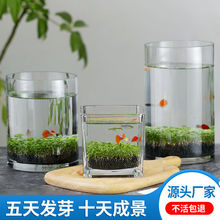 桌面微景缸水草缸水培缸生态瓶DIY居家水草泥种子籽造景鱼缸厂