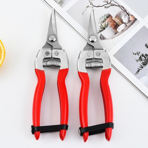 Manufacturer Stainless steel fruit picking scissors, flower garden scissors, fruit tree pruning scissors, grafting branch pruning scissors
