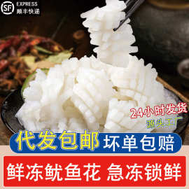 鱿鱼花新鲜冷冻目鱼花鲜切鱿鱼开花块火锅麻辣烫食材海鲜水产批发