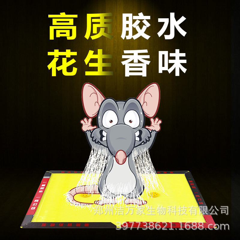 ������ֱ����è����ճ���40�˽�������������С����ճ����