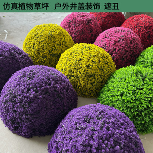 ���������ȼ����Gֲ�����ֲ���ƺ���w�b��ڳ�����ľ���^