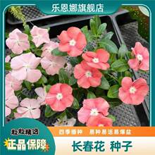 �L�����N�����մ��ļ����N���÷���N�ӑ����҃ȑ����׷N�׻��