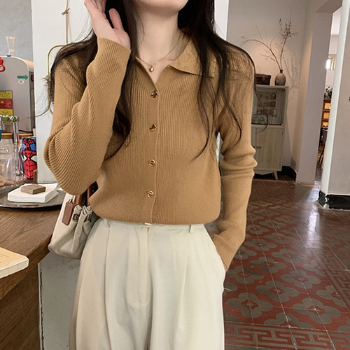 Polo-Neck Innerwear Base Knit Sweater for Women, 2025 New Collection—Elegant, Chic, and Uniquely Designed Top for Spring and Autumn