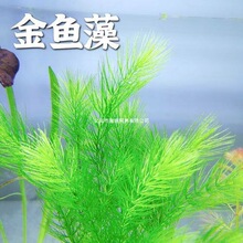 ���~��ˮ�ݵ�ˮ��Ƽ���ݾG�ճ�����������ˮ�|ˮ���~�׺��B�׻�