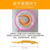 Golden loach 16-18 cm 2 pieces + feed