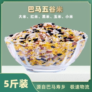 ���R�������οh��ɽ�{�������5����׺��׼t������С�׻���s�Z