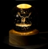 Crystal Elk