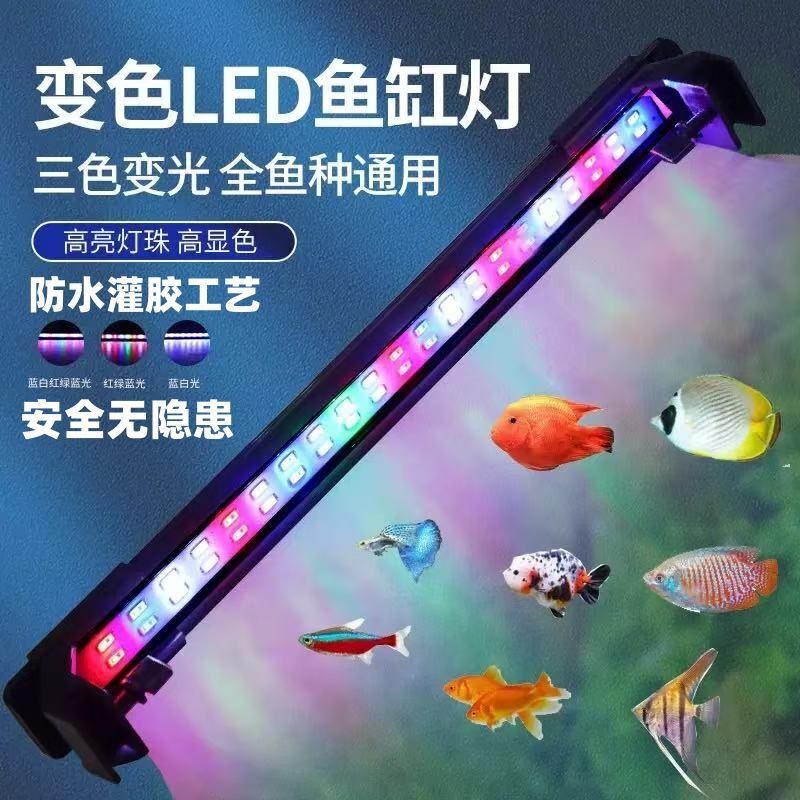 新款背滤超白玻璃干湿分离桌面鱼缸办公室居家生态造景过滤一体|undefined