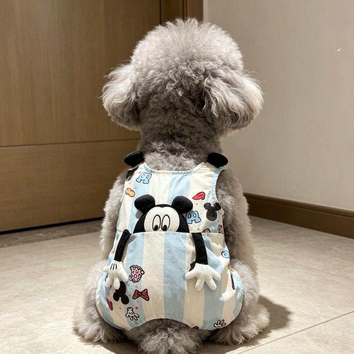 宠物衣服夏季薄款连体裤狗狗猫咪可爱洋气立体卡通拥抱背带裤