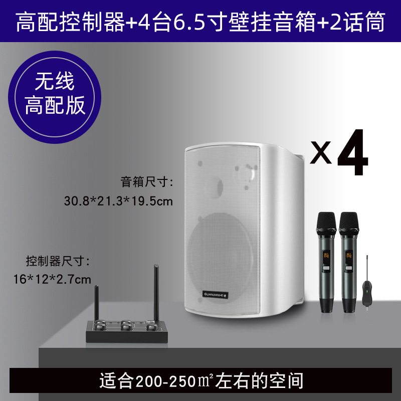 壁挂无线音响店铺舞蹈教室餐厅健身房会议室商用音箱组合套装|undefined
