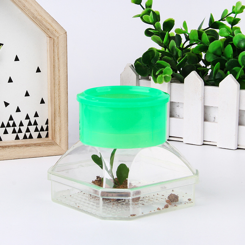 小学生科学实验玩具昆虫观察盒 幼儿园户外探索多功能益智教具|ru