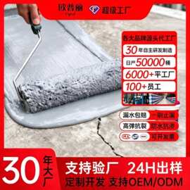 外露型屋顶补漏防水涂料房顶楼顶裂缝材料外墙堵漏王漏水防漏补漏