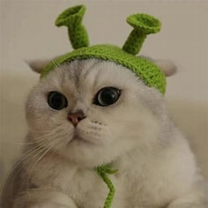 Вязаная шапочка для кошек в виде лягушки ручной работы