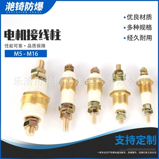 M5-M16电机接线柱防爆电机接线柱大电流接线端子矿用加工定制变频