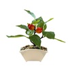 Realistic fruit flowerpot, decorations indoor, jewelry, new collection, factory direct supply