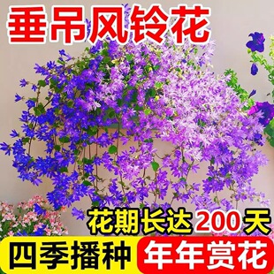 �����L⏲ݻ��N���ļ����N�_���׻������������̨ͥԺ���N��