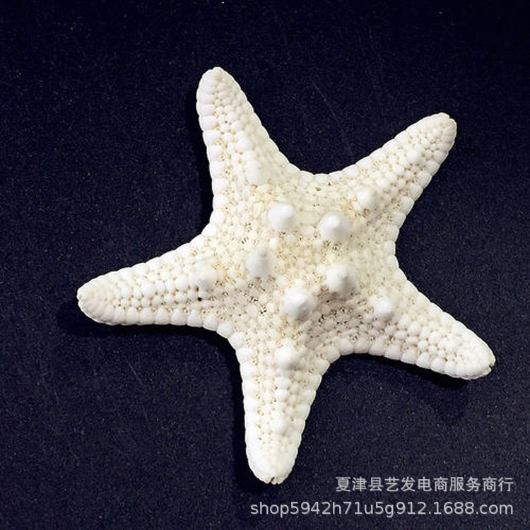 Natural Five-Fingered Starfish with Unique Shapes, Creative Mediterranean Home Decor, Refrigerator Magnet Materials, Manufacturer Approved Natural Five-Fingered Starfish with Unique Shapes, Creative Mediterranean Home Decor, Refrigerator Magnet Materials, Manufacturer Approved